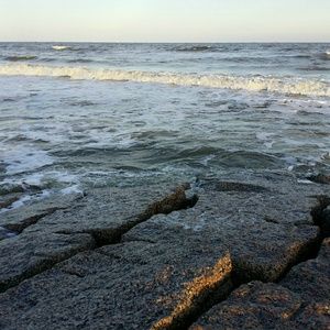 Meet your Posher, Ronald